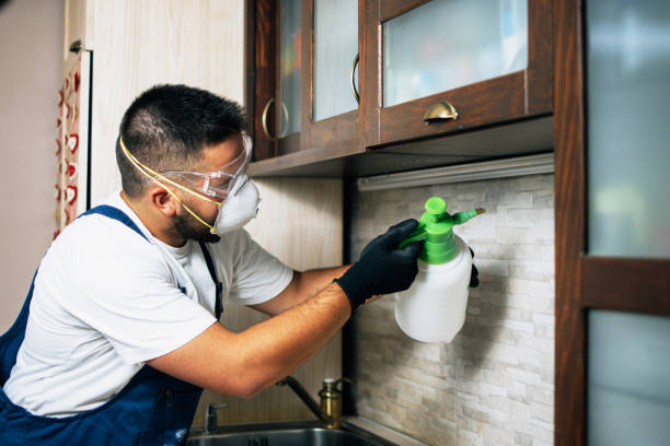 Best Flea Control Services  in Richland, MS