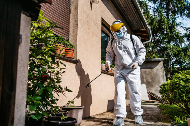 Best Pest Prevention Services  in Richland, MS