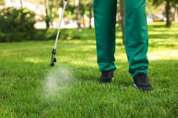 Insect Control in Richland, MS