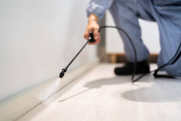 Trusted Richland, MS Pest Control Experts