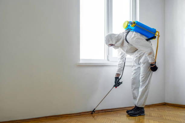 Best Exterminator Services  in Richland, MS