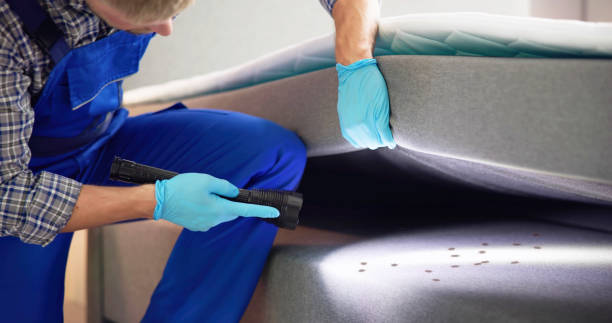 Best Cockroach Control Services  in Richland, MS