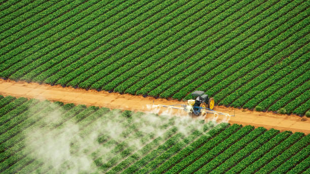Best Pest Control Near Me  in Richland, MS