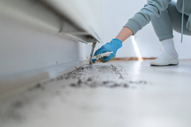 Best Emergency Pest Control  in Richland, MS